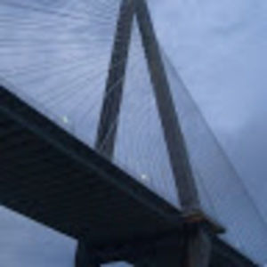 Meet your Posher, Steve